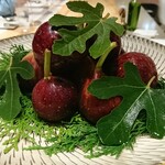 SUGALABO - 無花果