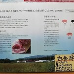 とんかつ 栄ちゃん - 