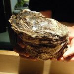 たこつぼ - 周防大島の岩牡蠣