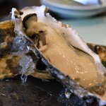 とん唐てん - 鳳牡蠣　生カキ