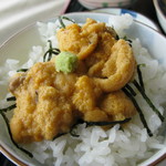 千陽 - 期間限定。