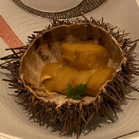 函館うに むらかみ 日本生命札幌ビル店 - 