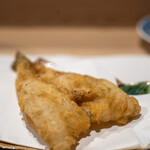 うを徳 - 2020.9 愛知シロギス天ぷら