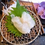 海のしょうげつ - 2012.06　造り　伊勢海老