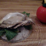 クッチーナ - 岩がき