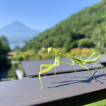 ふふ 河口湖 - テラスに可愛い訪問者