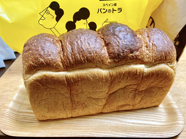 ニトラパンのリーフレット