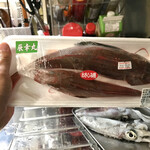 道の駅おが - ホウボウ。買ってきま〜した〜