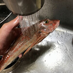 道の駅おが - よーく水で洗う