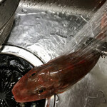 道の駅おが - ウロコをしっかり落とします。ヒレが指に刺さるので注意(´°̥̥̥̥̥̥̥̥ω°̥̥̥̥̥̥̥̥｀)
      ハサミで先にヒレを落としちゃうのオススメですが横着しました(泣)