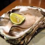 もと - 丹後産生カキ