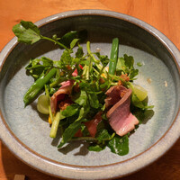 SHIKAKU - 