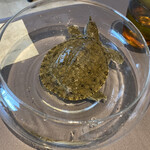 プレゼンテ スギ - すっぽん