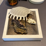 プレゼンテ スギ - すっぽん抜け殻