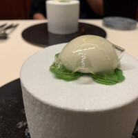 TACUBO - 