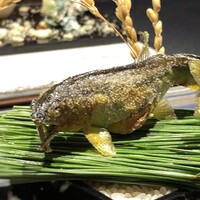 日本料理 TOBIUME - ＊鮎は焼きがお上手ですし、振り塩の塩梅もよく卵までとても美味しい。