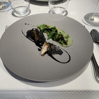 ジョンティ アッシュ - 