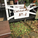 ブルーベリー&自家製酵母パン こんちゃんち - テラスで食べて帰れます