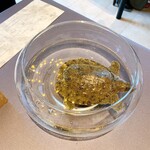 プレゼンテ スギ - 見せスッポン！