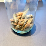 プレゼンテ スギ - 干し川魚と川海老