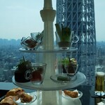 天空LOUNGE TOP of TREE - 