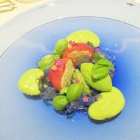 ロオジエ - フルーツトマト 北海道産毛蟹のファルシィ オー・ド・トマトのジュレ ズッキーニのチャツネとブルーテ バジルのアイスクリーム