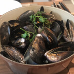 ラディーチェ - 