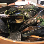 ラディーチェ - 