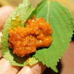 アカ - 馬肉のタルタル　京都大原産のエゴマで巻いて