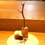 アカ - アマゾンカカオと生チョコ　リンゴのチップスとナッツを添えて