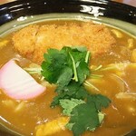 陽だまりの湯 - とんかつカレーうどん