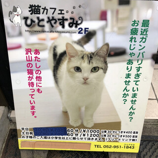 口コミ一覧 : ひとやすみ - 久屋大通/カフェ [食べログ]