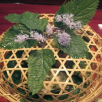 草喰 なかひがし - 八寸　竹籠の上に原種のあじさい