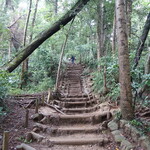 Takahashiya - 6号路登山道の丸太階段