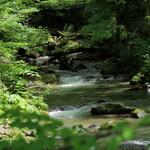 渓流テラス - 奥入瀬渓谷の表情　その１