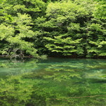 渓流テラス - 奥入瀬渓谷の表情　その２