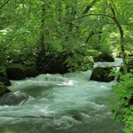 渓流テラス - 奥入瀬渓谷の表情　その３