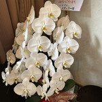 佐賀ラーメン いちげん。 - 