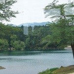 道の駅　いりひろせ - 鏡が池の状況です（7/1UP）