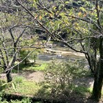 萬歳屋 - 紅葉にはまだ早いけど外の雰囲気で季節を感じれる♪