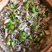 伊勢宮川の里 鄙茅 - 