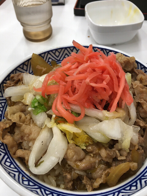 Yoshinoya Bentencho Nishikujo Osaka Dome Gyu Don Beef Bowl Tabelog