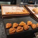 プリムローズ - 