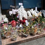 らぁ麺 すぎ本 - 