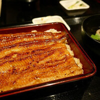 うなぎ 目白ぞろ芽 - 