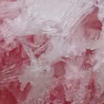 氷菓処 にじいろ - その存在感と舌触りの非常に良い氷