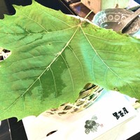 黒茶屋 - 前菜。