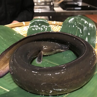 スガラボヴィー - 