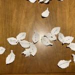 セララバアド - 