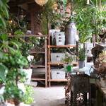 ​冬のRK GARDEN - 外でグリーンも買えるんです